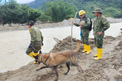 Uniformados de las Fuerzas Armadas continúan con la búsqueda de personas extraviadas una semana después del deslave en Zamora Chinchipe.
