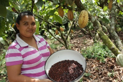 El cacao de Ecuador se vuelve más caro cuando baja la oferta desde África.