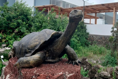 La Universidad Central del Ecuador en Galápagos fue evaluada por la Comisión de Educación junto a autoridades universitarias y del CES.