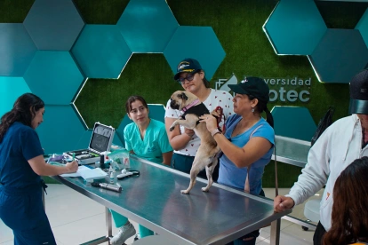 Servicios veterinarios gratuitos se ofreceran en el campus de vía a la costa de la Ecotec