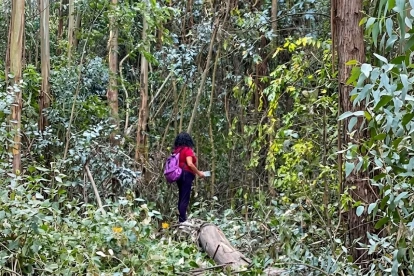 Maytté Gavilanes camina en la zona talada, el martes 14 de julio del 2026, en El Bosque.