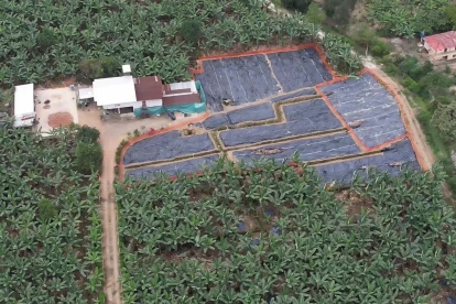 Afectación. Vista aérea de la finca La Carolina, donde a finales de 2025 se confirmó el primer caso.