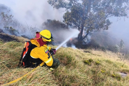 Bomberos de Quito controlaron un incendio forestal registrado en el sector Jaime Roldós, donde se desplegó un operativo para evitar la propagación del fuego.