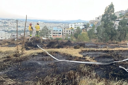El 14 de julio ocurrió un incendio forestal en el sector Jaime Roldós, en el norte de Quito.