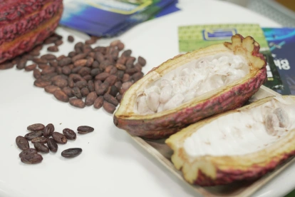 La Cumbre Mundial del Cacao será del 4 al 6 de agosto