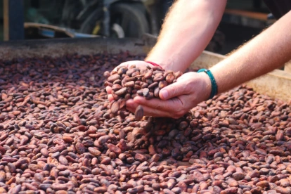 La minería gana protagonismo en Ecuador mientras el cacao pierde peso en las exportaciones.
