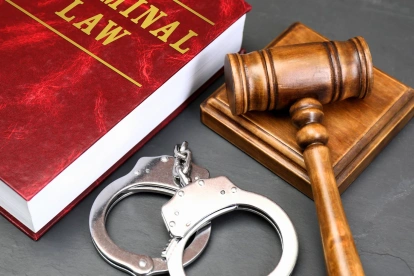 El combate al crimen debe respetar garantías legales para evitar abusos y errores judiciales.
