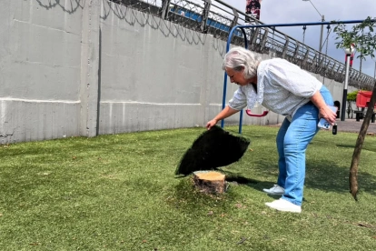 Tala de árboles en la ciudadela Entre Ríos