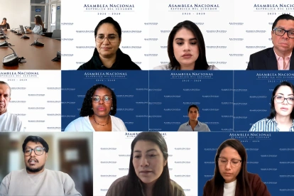 La Comisión de la Niñez analiza reformas legales para adolescentes infractores en modalidad virtual.