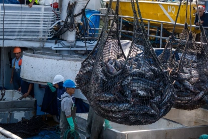 El atún y otros productos pesqueros se beneficiarían del TLC con Canadá.