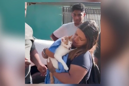 Rescatistas sostienen a Luli, la gata encontrada con vida tras permanecer 23 días bajo los escombros de un terremoto.