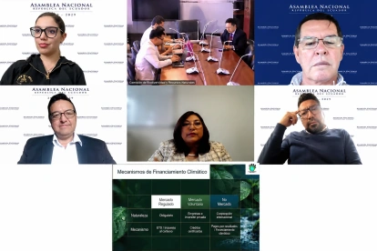 Lilian Jara expuso ante la Comisión de Biodiversidad sus observaciones al proyecto de reforma sobre cambio climático.