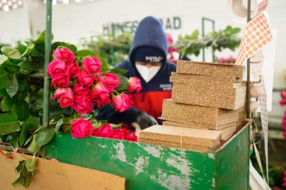 Las flores ecuatorianas se ubicarían por delante de Colombia, tras sobretasa arancelaria.