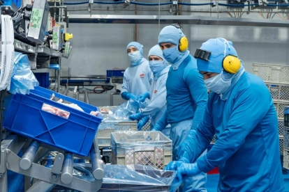 La carne de cerdo consta entre los 10 alimentos con mayor peso en el gasto de los hogares ecuatorianos, según el INEC.