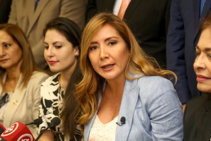 La exasambleísta por Guayas, Dallyana Passailaigue.