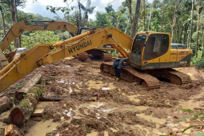 En Tena y en Yanzaza, epicentros de la minería ilegal amazónica, comprar una excavadora de 250 mil dólares es, según los reporteros, tan fácil como comprar una moto.
