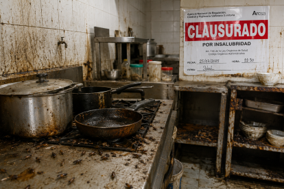 Referencial. Arcsa clausuró un local de fritada en Pomasqui tras detectar cucarachas, congeladores contaminados y graves deficiencias sanitarias que ponían en riesgo la salud pública.