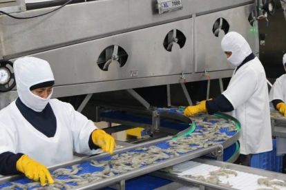 Santa Priscila es una de las mayores empresas camaroneras y exportadoras de camarón de Ecuador.