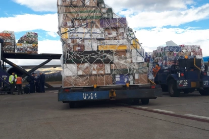 Las rosas podrán ingresar con 0 % de arancel a Canadá. Hoy pagan un 8 % promedio.