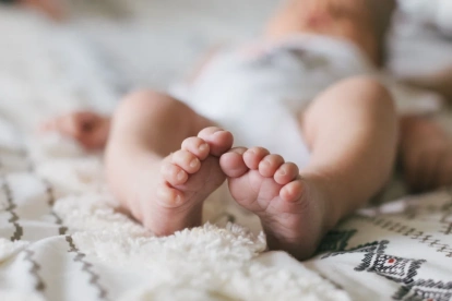 Referencial. Se cambiarían las formas para adoptar en Ecuador.