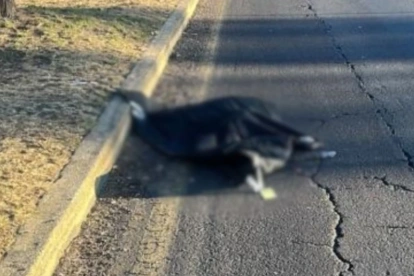 Un cuerpo embalado y colgado de un puente en la avenida Simón Bolívar.