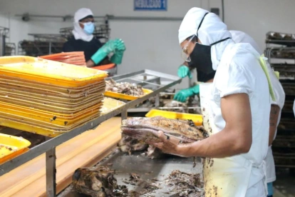 El sector atunero de Ecuador es de los más beneficiados con TLC con Canadá.