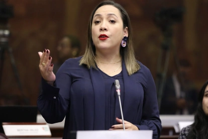 Ana María Raffo es asambleísta por Guayas de la  Revolución Ciudadana. Tiene una licenciatura en Diseño y Producción Audiovisual y una maestría en Dirección de Comunicación.