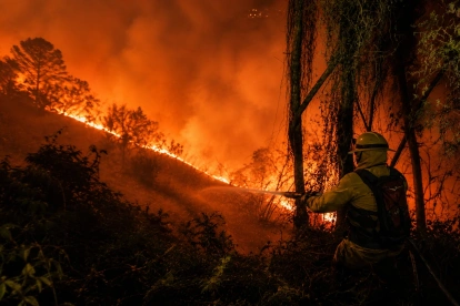 Bomberos de Quito controlaron el incendio forestal en Victoria de El Quinche, evitando que las llamas se propagaran hacia viviendas y vegetación cercana.