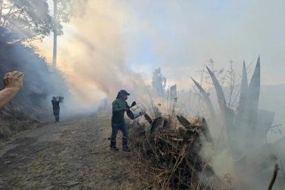 Moradores de Tanda apoyaron a los bomberos en las labores para contener el incendio forestal y evitar que las llamas alcanzaran viviendas cercanas.