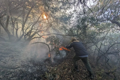 Itulcachi. Bomberos y ciudadanía controlaron el incendio forestal tras varias horas de trabajo y evitaron que las llamas se propagaran a otras áreas.