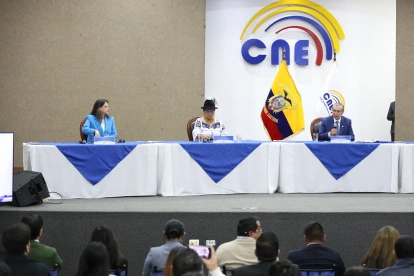 Sesión del Pleno del Consejo Nacional Electoral (CNE).
