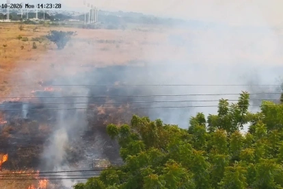 Incendio forestal en la avenida Narcisa de Jesús alarma a Guayaquil.