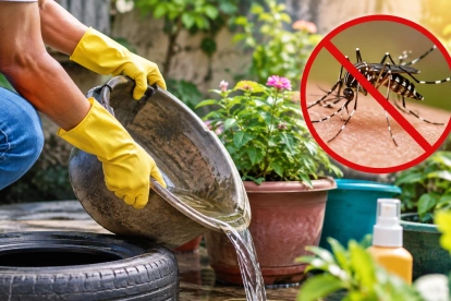 Eliminar el agua acumulada ayuda a prevenir la reproducción del mosquito que transmite el dengue.