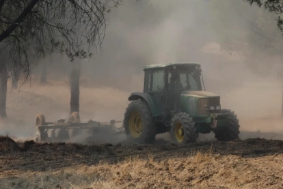 Maquinaria pesada realiza cortafuegos por el incendio de Niebla (Huelva).