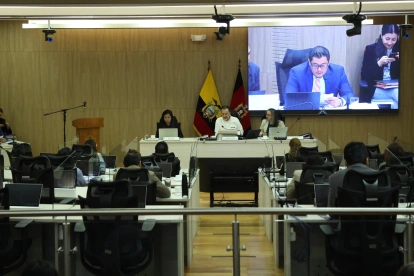 El alcalde, Pabel Muñoz, durante la sesión del Concejo de este 11 de agosto de 2026.