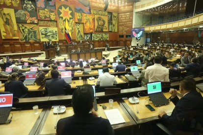 La Asamblea Nacional mantiene el debate sobre el proyecto de ley relacionado con la reproducción asistida.
