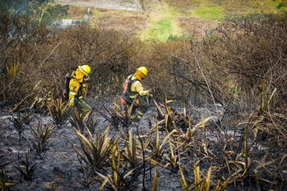 La vegetación seca y la baja humedad aumentan el riesgo de propagación del fuego en varias provincias del país. En Quito, en Pichincha, esta semana se han registrado varios incendios.