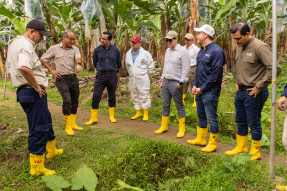 Representantes del FMI visitaron bananeras de Ecuador.