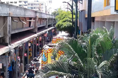 Bomberos atendieron una alerta en la zona de la Bahía.