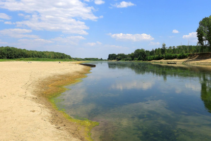Bajo nivel del río Danubio a su paso por la localidad de Roseti, en Rumanía, en una imagen de principios de agosto.