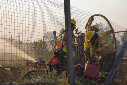 Ecuador reportó 1.314 incendios forestales entre julio y agosto; casi 9.800 hectáreas fueron afectadas.