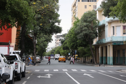 Guayacanes engalanan a diario el paso a lo largo de la calle Chimborazo, en el centro de Guayaquil.