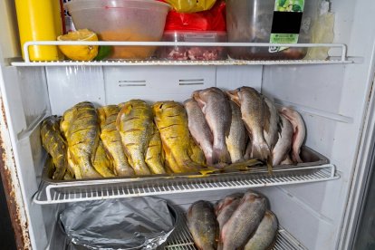 Las corvinas apiladas en el interior de un refrigerador en la cocina del restaurante.