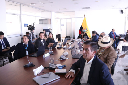 Inés Alarcón (ADN) preside la Comisión de Seguridad de la Asamblea.