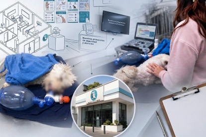 La Unidad de Bienestar Animal de Quito inspeccionó el lugar y obtuvo la versión de los directivos de la peluquería.