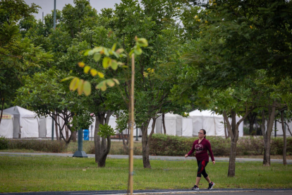 El parque Samanes cuenta con decenas de áreas verde para caminar.