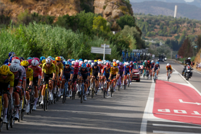El pelotón durante la quinta etapa de La Vuelta a España, este miércoles, que se disputa entre Falset y Roquetes (Tarragona)
