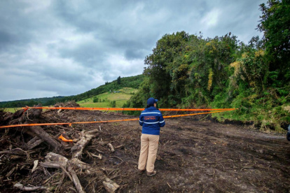 Daño ambiental. La maquinaria pesada destruyó 140 árboles nativos, afectando troncos, ramas y raíces de especies que ya no pueden recuperarse.