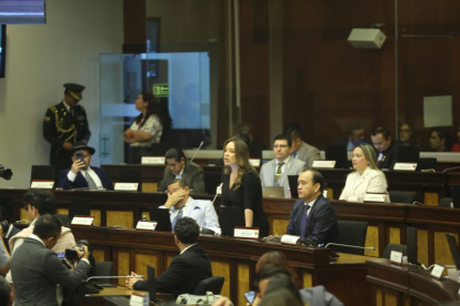Mishel Mancheno defendió su iniciativa ante el Pleno durante el primer debate de la Ley Antimafias.