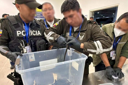 Extranjera fue detenida en Quito al intentar llevar 28 iguanas marinas a Islandia.